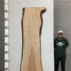 live-edge-pecan-wood-slab-back-pe-487-08.jpg Live Edge Pecan Slab PE 487-08