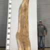 live-edge-pecan-wood-slab-back-pe-555-04.jpg Live Edge Pecan Slab PE 555-04