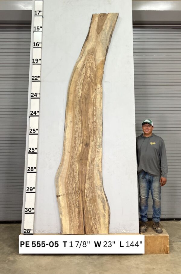live-edge-pecan-wood-slab-back-pe-555-05.jpg Live Edge Pecan Slab PE 555-05