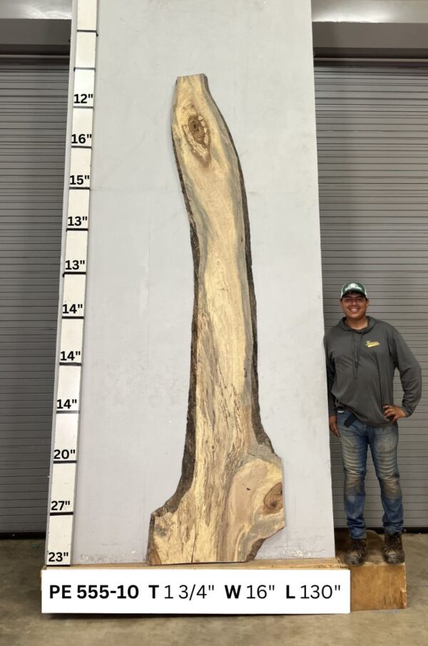 live-edge-pecan-wood-slab-back-pe-555-10.jpg Live Edge Pecan Slab PE 555-10