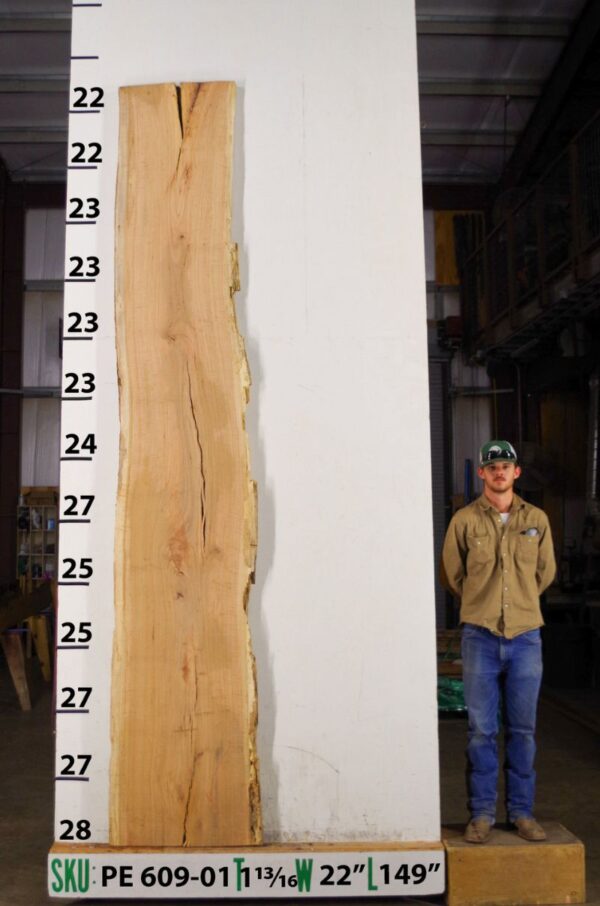 live-edge-pecan-wood-slab-back-pe-609-01.jpg Live Edge Pecan Slab PE 609-01