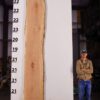 live-edge-pecan-wood-slab-back-pe-609-06.jpg Live Edge Pecan Slab PE 609-06