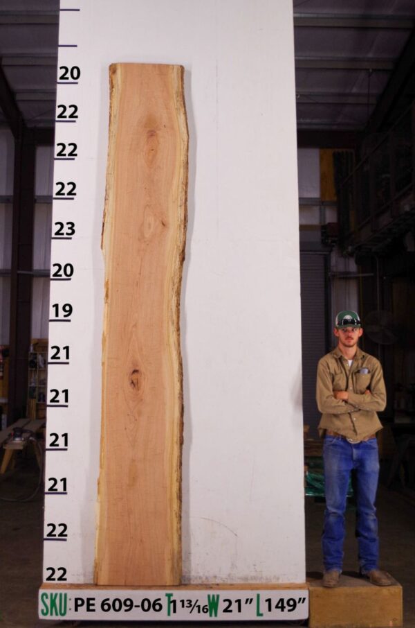 live-edge-pecan-wood-slab-back-pe-609-06.jpg Live Edge Pecan Slab PE 609-06