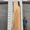 live-edge-pecan-wood-slab-back-pe-620-01.jpg Live Edge Pecan Slab PE 620-01