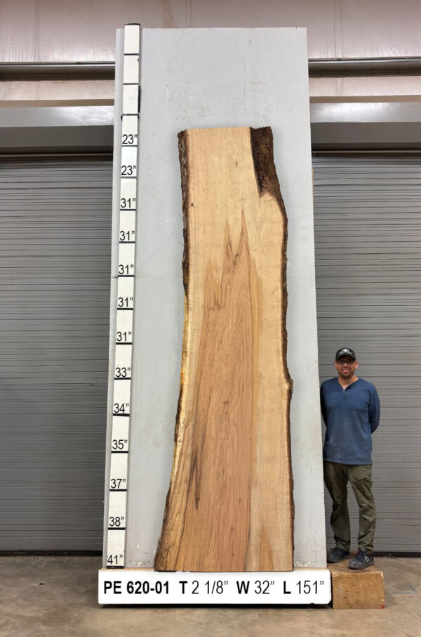 live-edge-pecan-wood-slab-back-pe-620-01.jpg Live Edge Pecan Slab PE 620-01