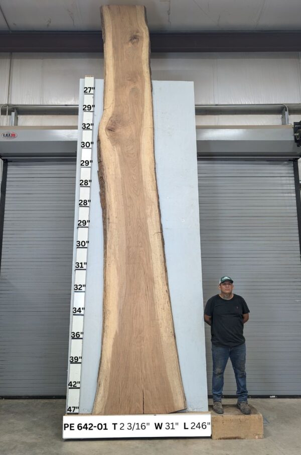 live-edge-pecan-wood-slab-back-pe-642-01-1.jpg Live Edge Pecan Slab PE 642-01