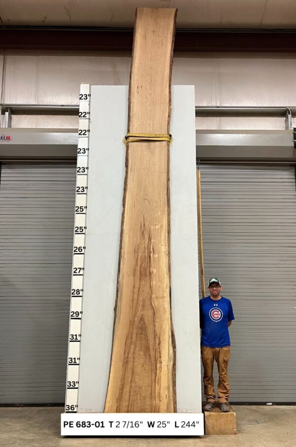 live-edge-pecan-wood-slab-back-pe-683-01.jpg Live Edge Pecan Slab PE 683-01