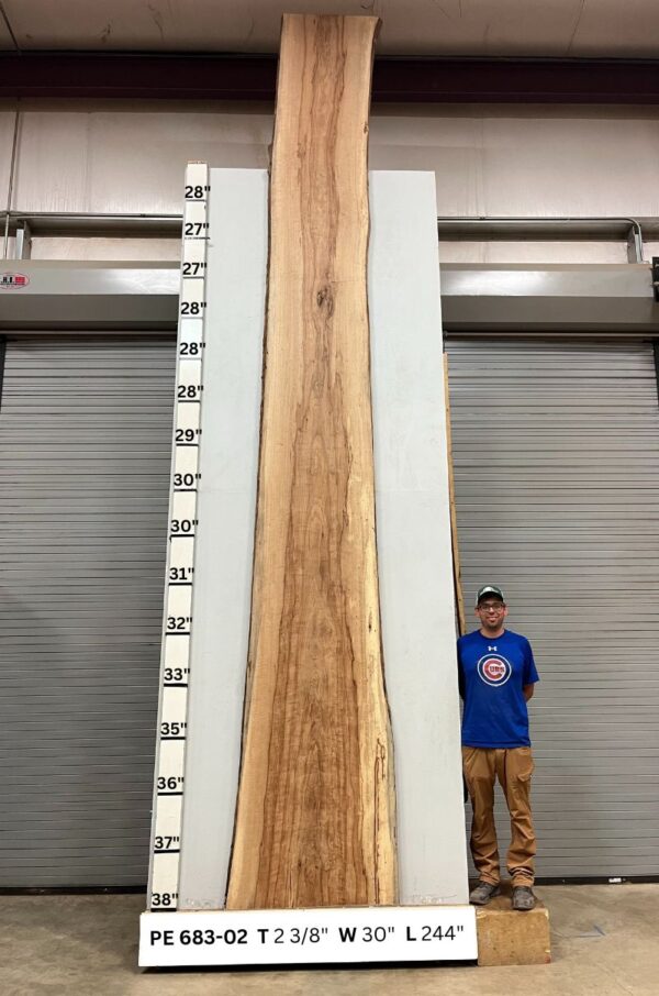 live-edge-pecan-wood-slab-back-pe-683-02.jpg Live Edge Pecan Slab PE 683-02