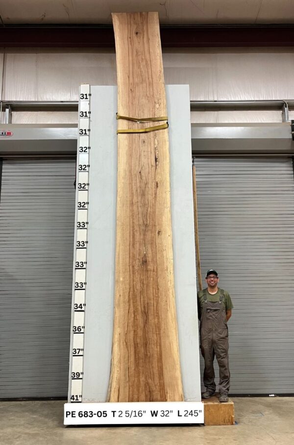 live-edge-pecan-wood-slab-back-pe-683-05.jpg Live Edge Pecan Slab PE 683-05