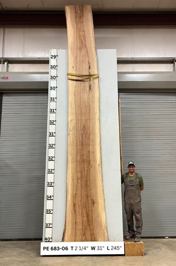 live-edge-pecan-wood-slab-back-pe-683-06.jpg Live Edge Pecan Slab PE 683-06