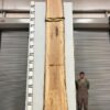 live-edge-pecan-wood-slab-back-pe-683-07.jpg Live Edge Pecan Slab PE 683-07