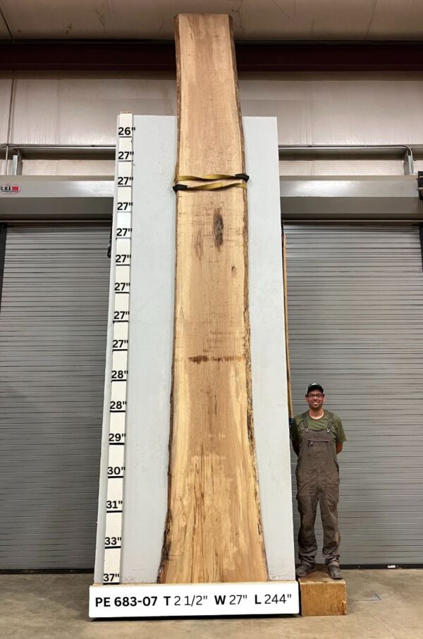 live-edge-pecan-wood-slab-back-pe-683-07.jpg Live Edge Pecan Slab PE 683-07