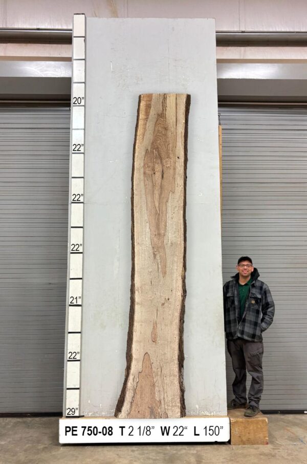 Slabs pt. 2 - 95 Live Edge Pecan Slab PE 750-08