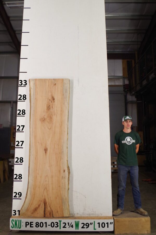 live-edge-pecan-wood-slab-back-pe-801-03.jpg Live Edge Pecan Slab PE 801-03