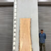 live-edge-pecan-wood-slab-back-pe-951-07.jpg Live Edge Pecan Slab PE 951-07