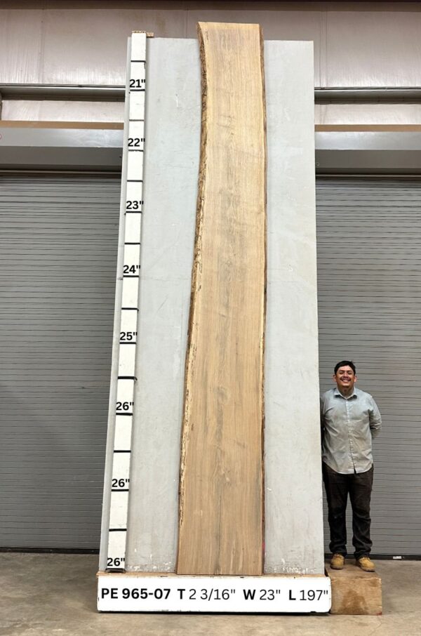 live-edge-pecan-wood-slab-back-pe-965-07.jpg Live Edge Pecan Slab PE 965-07