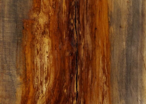live-edge-pecan-wood-slab-detail-pe-225-03.jpg Live Edge Pecan Slab PE 225-03