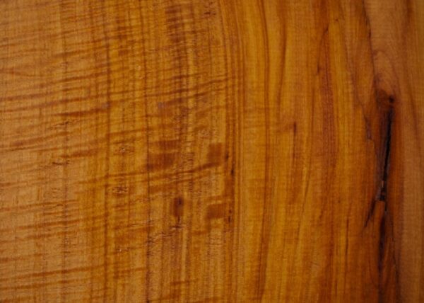 live-edge-pecan-wood-slab-detail-pe-609-01.jpg Live Edge Pecan Slab PE 609-01