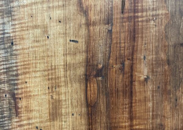 live-edge-pecan-wood-slab-detail-pe-683-04.jpg Live Edge Pecan Slab PE 683-04