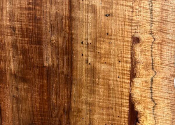 live-edge-pecan-wood-slab-detail-pe-683-05.jpg Live Edge Pecan Slab PE 683-05