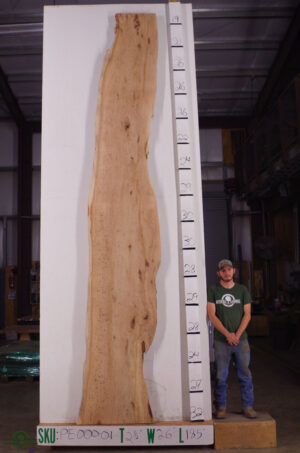 live-edge-pecan-wood-slab-front-pe-000-01.jpg Live Edge Pecan Slab PE 000-01