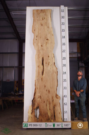 live-edge-pecan-wood-slab-front-pe-000-12.jpg Live Edge Pecan Slab PE 000-12