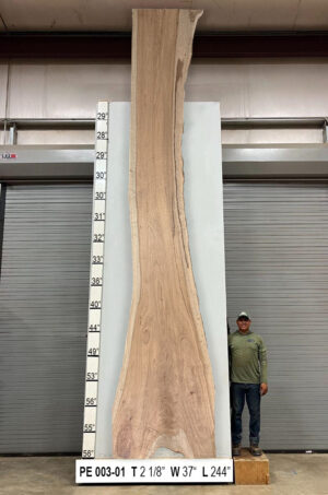 Slabs pt. 2 - 81 Live Edge Pecan Slab PE 003-01