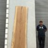 live-edge-pecan-wood-slab-front-pe-009-01-1.jpg Live Edge Pecan Slab PE 009-01
