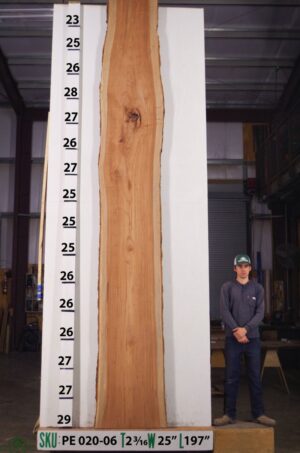 live-edge-pecan-wood-slab-front-pe-020-06.jpg Live Edge Pecan Slab PE 020-06