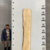live-edge-pecan-wood-slab-front-pe-040-01.jpg Live Edge Pecan Slab PE 040-01