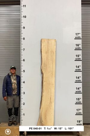 live-edge-pecan-wood-slab-front-pe-040-01.jpg Live Edge Pecan Slab PE 040-01