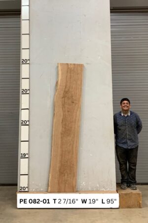 live-edge-pecan-wood-slab-front-pe-082-01.jpg Live Edge Pecan Slab PE 082-01