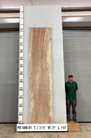 Slabs pt. 2 - 90 Live Edge Pecan Slab PE 086-01