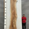 live-edge-pecan-wood-slab-front-pe-139-02.jpg Live Edge Pecan Slab PE 139-02