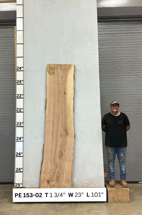 live-edge-pecan-wood-slab-front-pe-153-02.jpg Live Edge Pecan Slab PE 153-02
