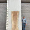 Slabs pt. 2 - 94 Live Edge Pecan Slab PE 195-01