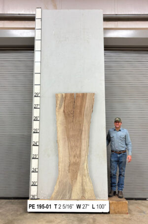 Slabs pt. 2 - 94 Live Edge Pecan Slab PE 195-01