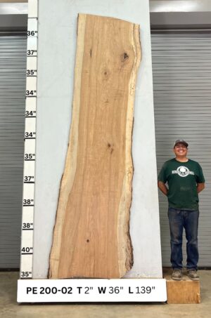 live-edge-pecan-wood-slab-front-pe-200-02-2.jpg Live Edge Pecan Slab PE 200-02