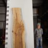 live-edge-pecan-wood-slab-front-pe-202-01.jpg Live Edge Pecan Slab PE 202-01