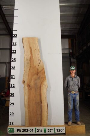 live-edge-pecan-wood-slab-front-pe-202-01.jpg Live Edge Pecan Slab PE 202-01