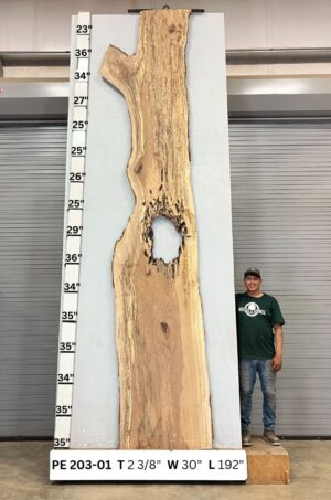 live-edge-pecan-wood-slab-front-pe-203-01.jpg Live Edge Pecan Slab PE 203-01