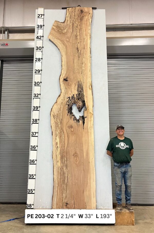 live-edge-pecan-wood-slab-front-pe-203-02.jpg Live Edge Pecan Slab PE 203-02