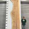 live-edge-pecan-wood-slab-front-pe-203-04.jpg Live Edge Pecan Slab PE 203-04