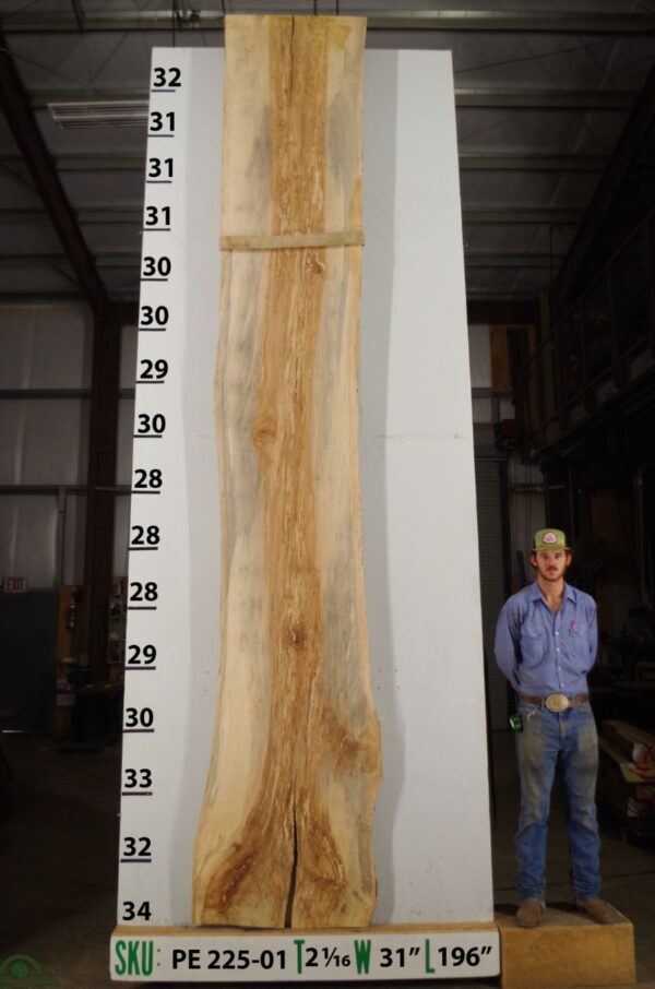 live-edge-pecan-wood-slab-front-pe-225-01.jpg Live Edge Pecan Slab PE 225-01