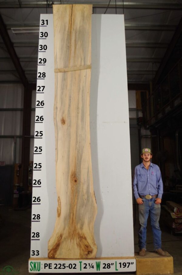 live-edge-pecan-wood-slab-front-pe-225-02.jpg Live Edge Pecan Slab PE 225-02