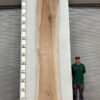 Slabs pt. 2 - 90 Live Edge Pecan Slab PE 225-10