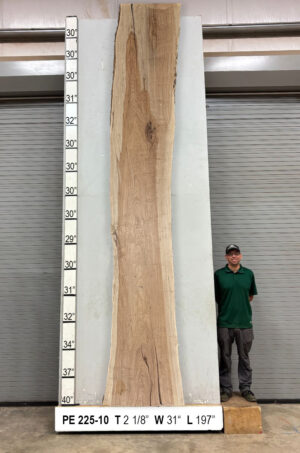 Slabs pt. 2 - 90 Live Edge Pecan Slab PE 225-10