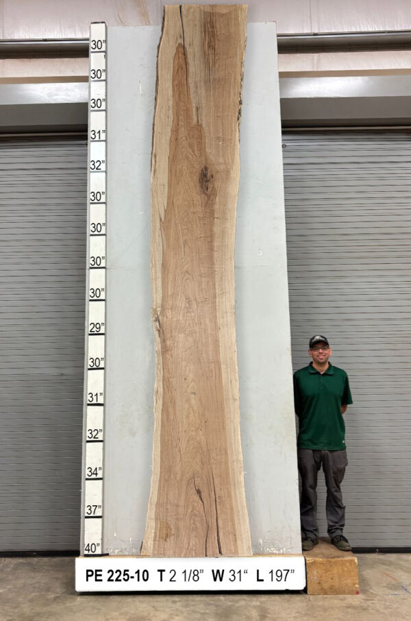 Slabs pt. 2 - 90 Live Edge Pecan Slab PE 225-10