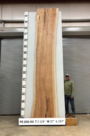 live-edge-pecan-wood-slab-front-pe-226-03.jpg Live Edge Pecan Slab PE 226-03
