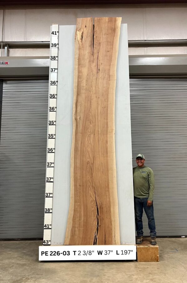 live-edge-pecan-wood-slab-front-pe-226-03.jpg Live Edge Pecan Slab PE 226-03